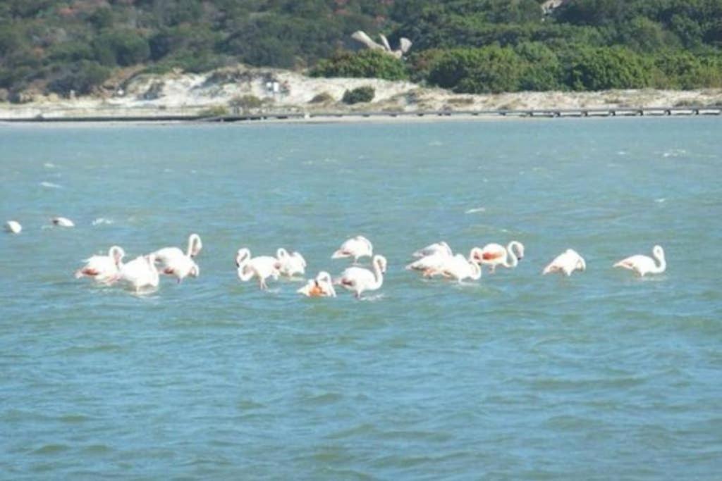 Confort E Relax Villasimius Bagian luar foto